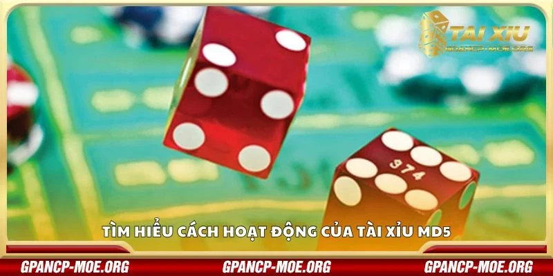 Tìm hiểu cách hoạt động của tài xỉu Md5